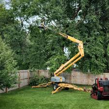 Grass Overseeding in Boynton Beach, FL